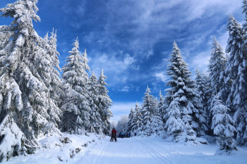 Winter & Ski Season at Hotel Regnum - Bansko